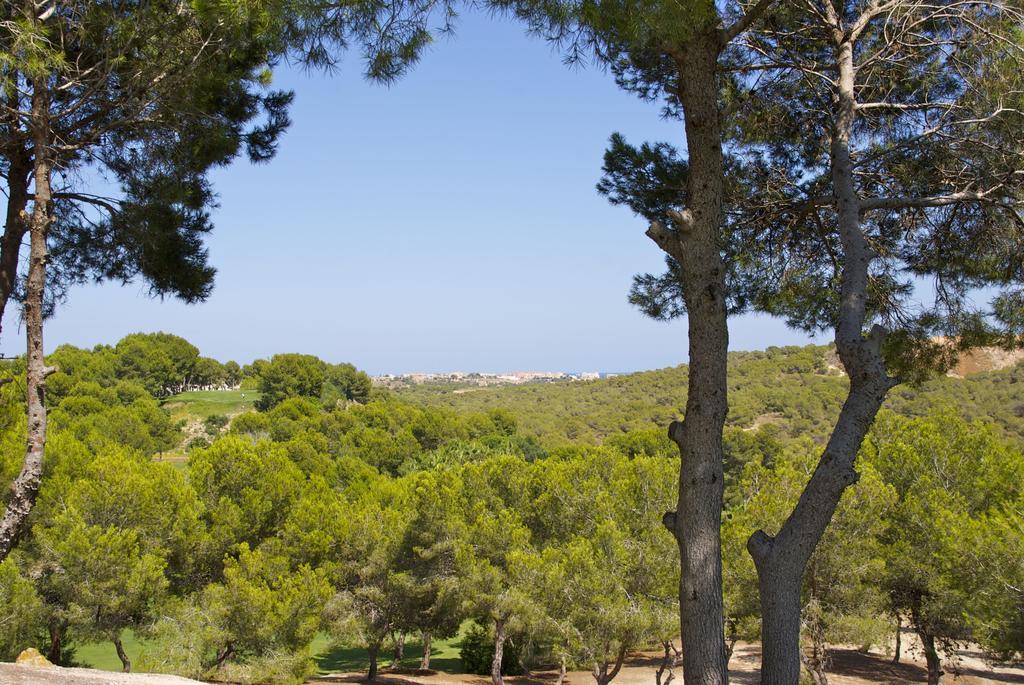 Casa Vromans Alto Torrevieja Værelse billede